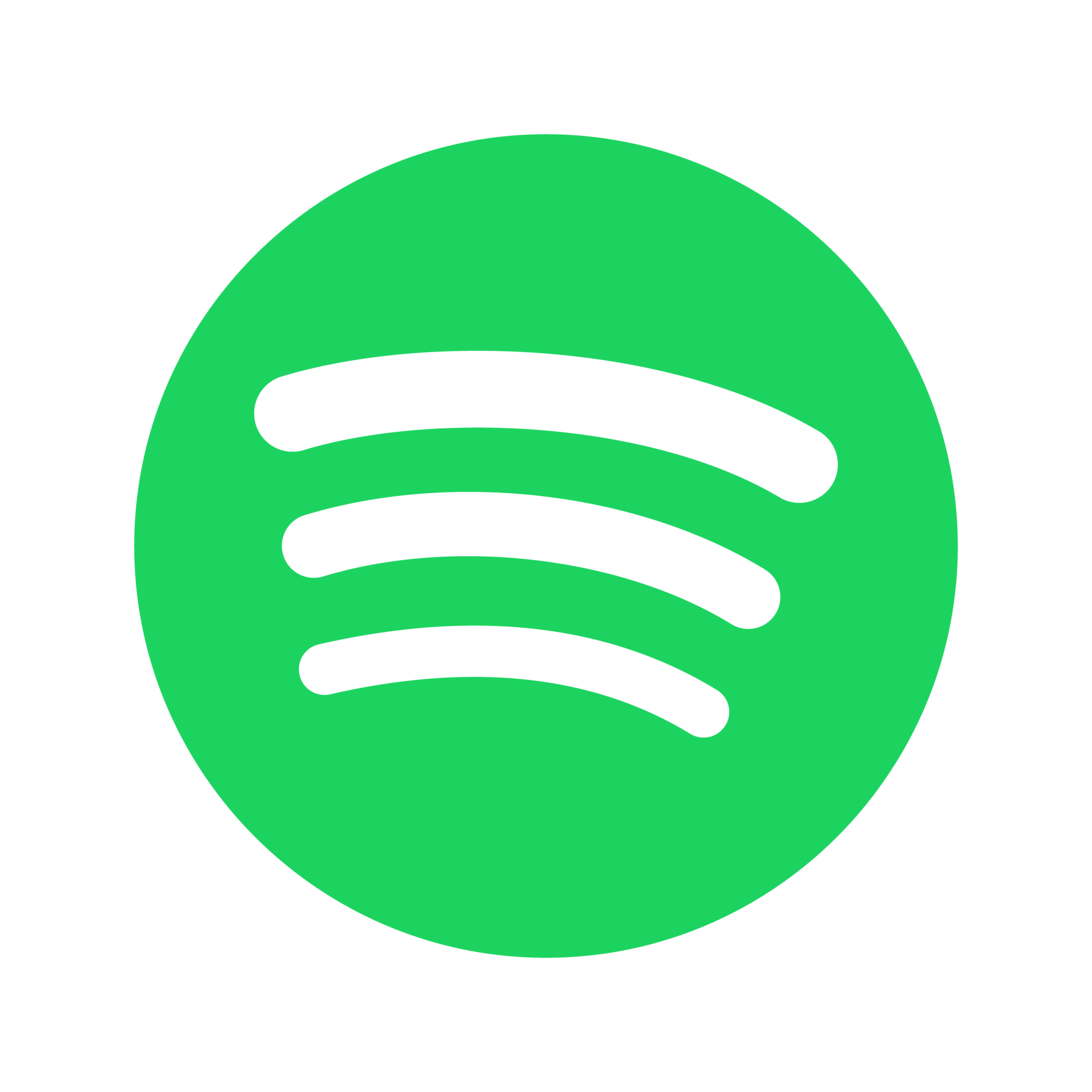Spotify APK Live logo